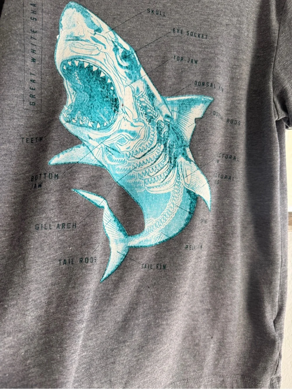 🟢3/$15 🦈 Old Navy Boys Gray Great White Shark Anatomy Graphic Tee